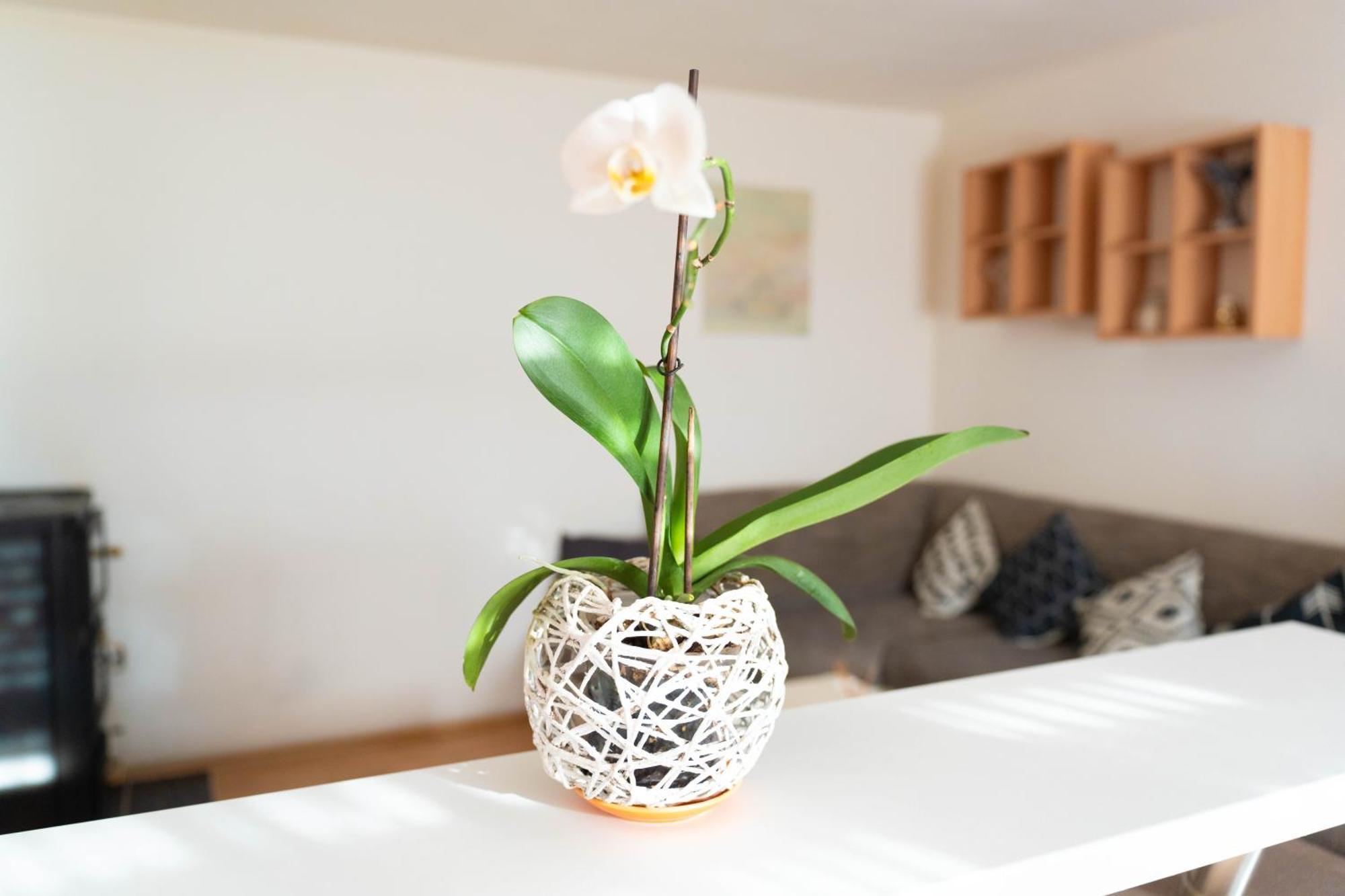 Apartman Lili Knin Exterior foto
